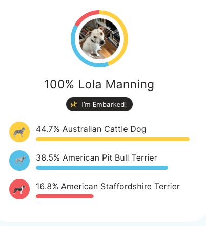 Chart showing Lola's breed mix.