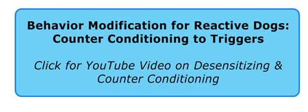 Link to YouTube video on counter conditioning.