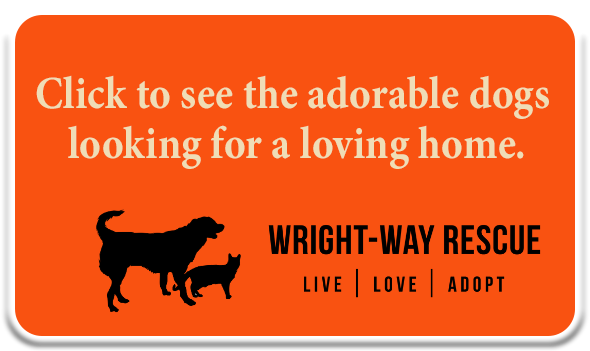 link to Wright-Way Rescue