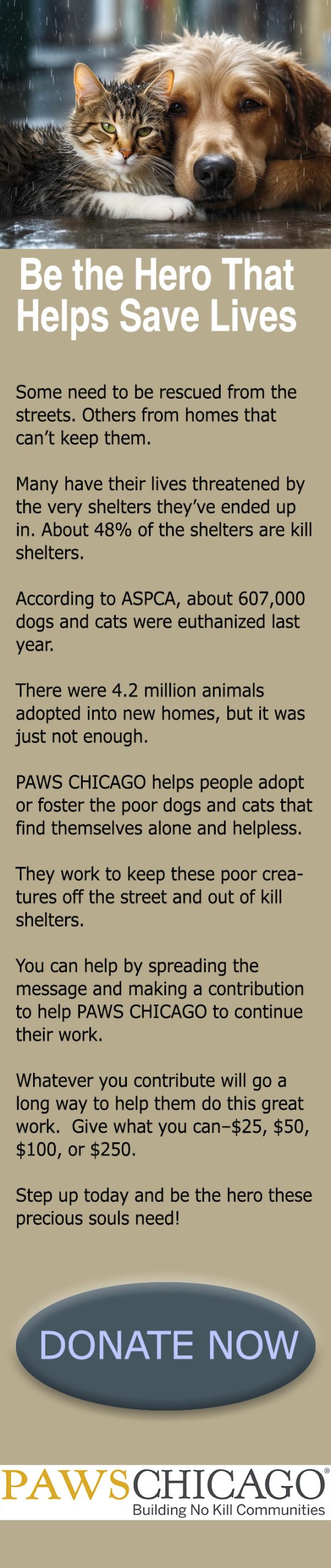PAWS CHICAGO
