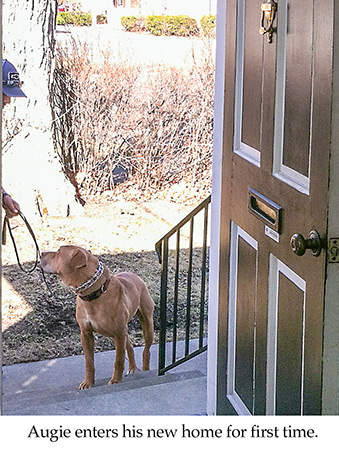 Augie at my front door when he comes to live me