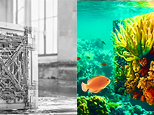 Side by side photos showing contrast between sterile and living worlds